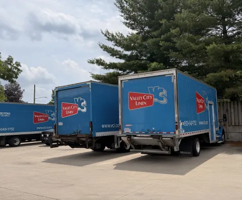 Hygiene Products - blue delivery trucks